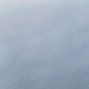 Meet your Posher, Lilly